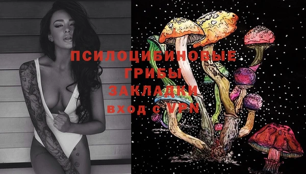 экстази Арсеньев