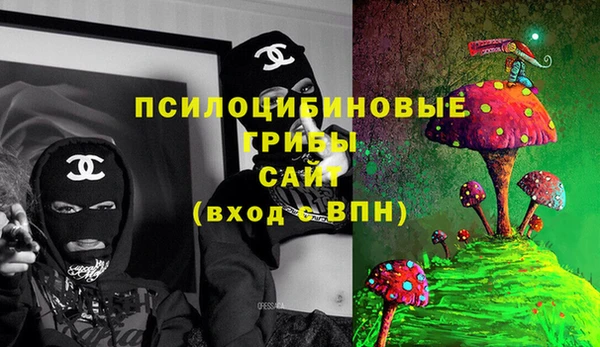 экстази Арсеньев
